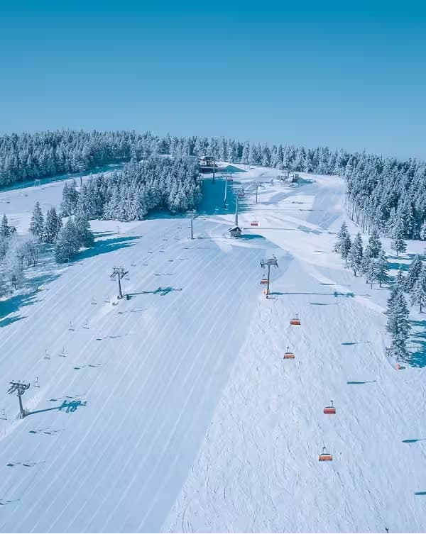 Zieleniec Sport Arena