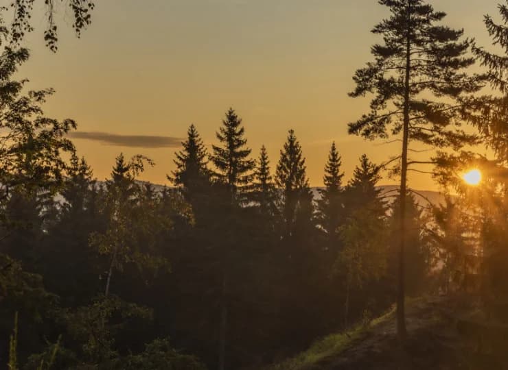 Łatwo tutaj odprężyć się dzięki kontaktowi z naturą