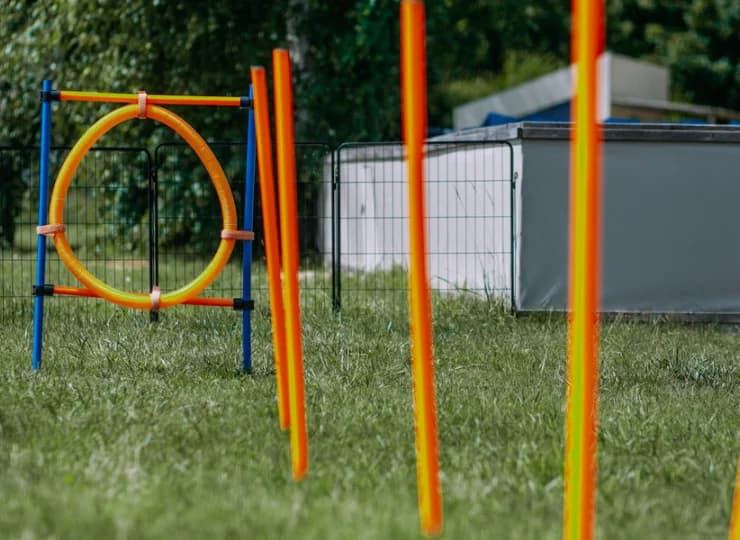 Herbals Glamping ma nawet specjalny plac zabaw dla psów