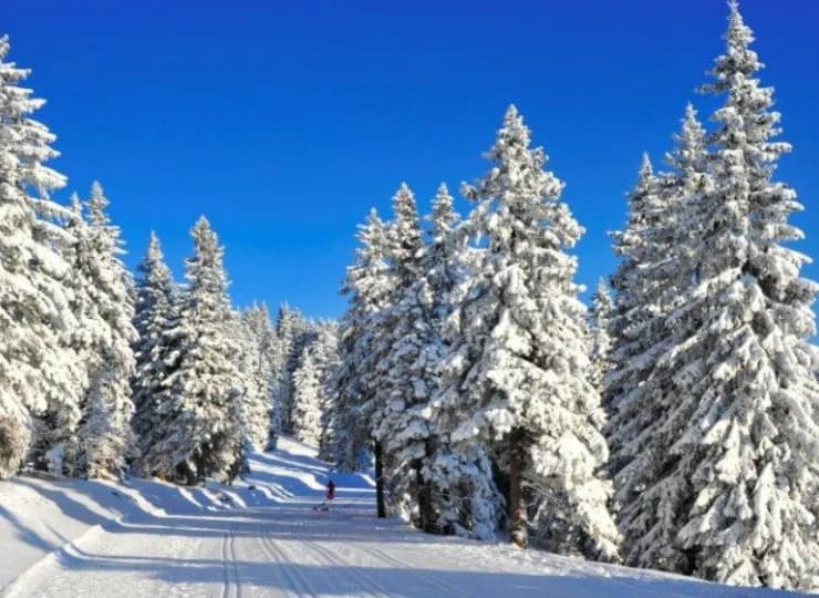 W okolicy jest też aż 10 km tras narciarstwa biegowego