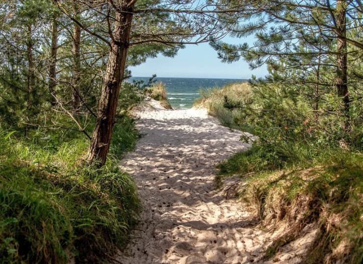 Jedynie 3 minuty spaceru przez nadmorski las prowadzi na piękną plażę