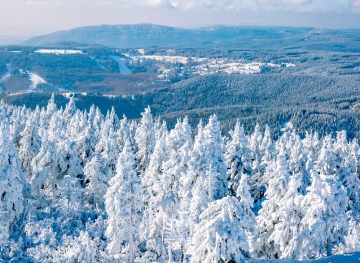 Pytloun Wellness Hotel Hasistejn jest otoczony malowniczymi, górskimi lasami