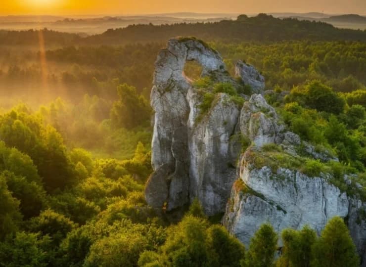 6 km od hotelu znajduje się Rezerwat Góry Zborów
