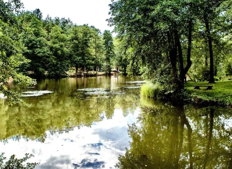 Dworek Wapionka posiada prywatne jezioro Wapionka (2 ha) z wyspą