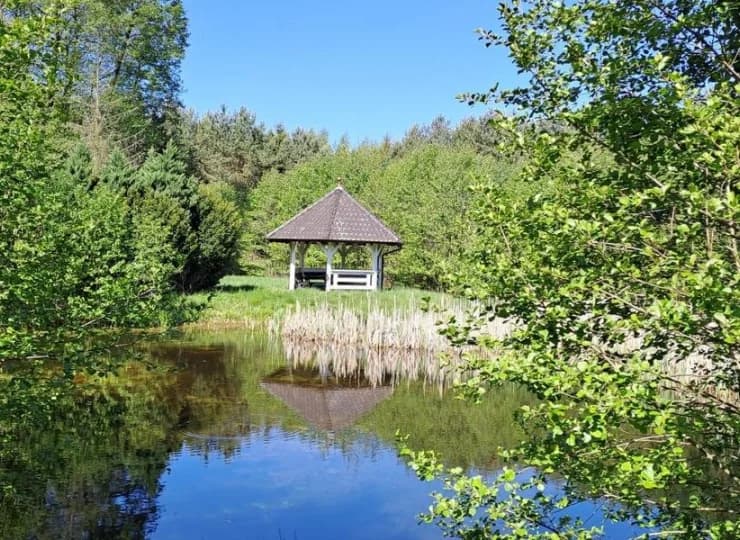 Są tutaj punkty do obserwacji ptaków