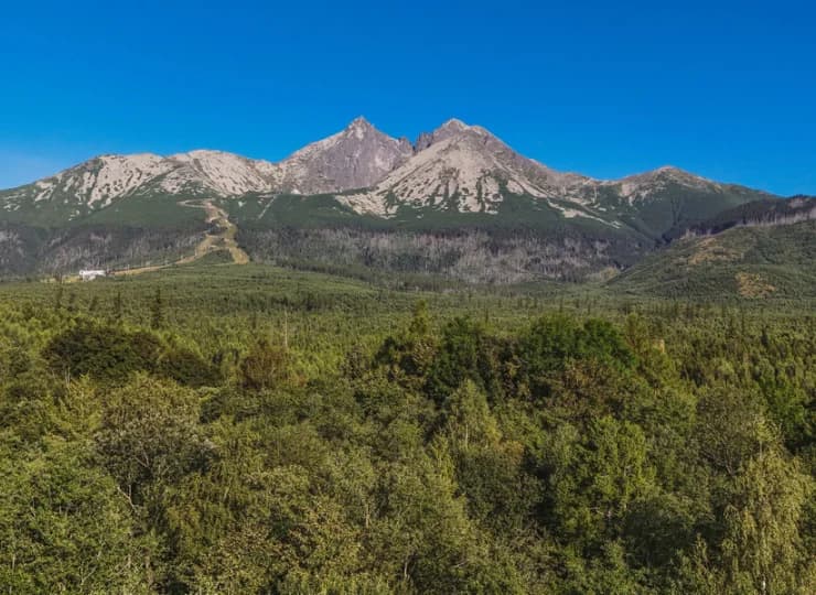 Letni widok na Łomnicę (2632 m n.p.m.)