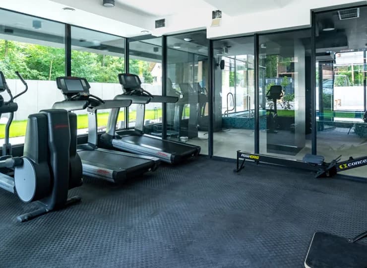 Strefa wellness jest wyposażona w różnorodny sprzęt, ma widok na las