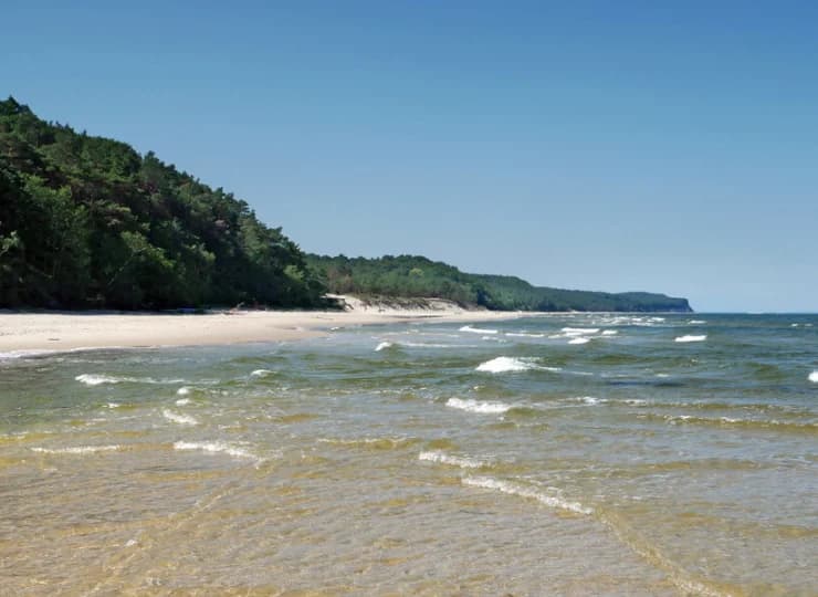 Wystarczy 25 minut spacerem przez Woliński PN, by dojść na bałtycką plażę