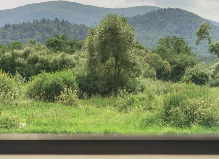Widok z domku na Połoninę Caryńską