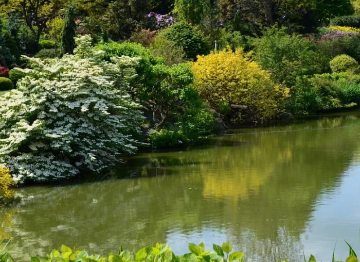 Arboretum w Wojsławicach to pełne malowniczych zakątków miejsce