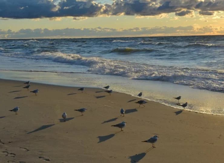 Mielno Holiday Apartments znajduje się w Mielnie, 2 min. od plaży