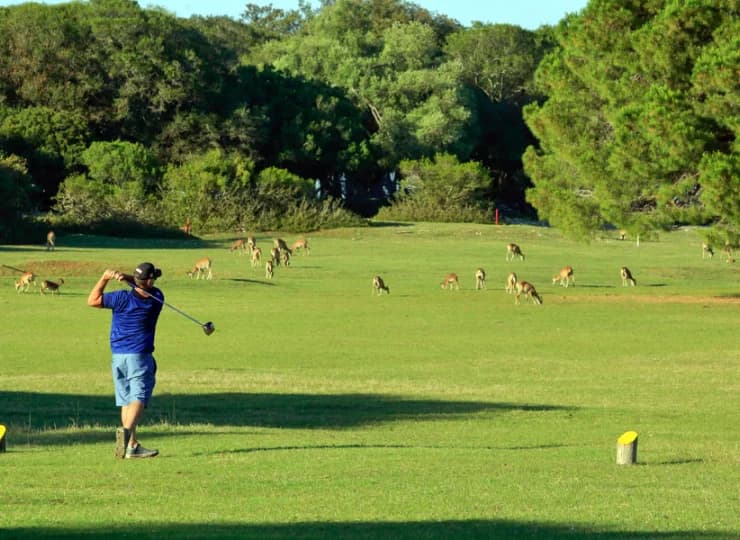 Na wyspie znajduje się ekskluzywne pole golfowe, są też korty tenisowe