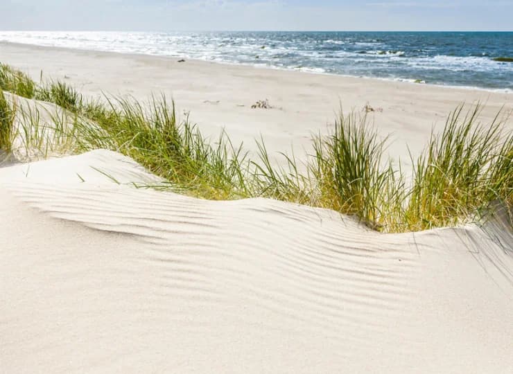 Znajdują się 550 m od piaszczystej plaży Mrzeżyno Zachodnie