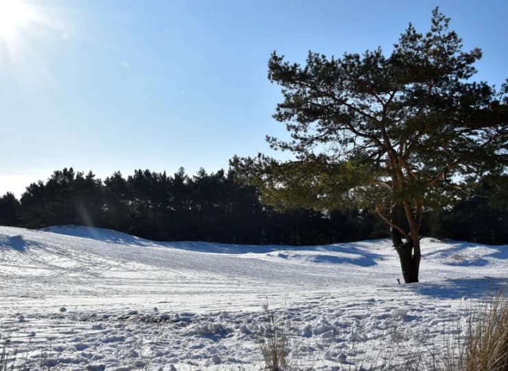 Okolica zachęca do spacerów w każdej porze roku