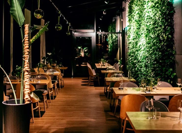 Hotel Pod Jedlami oferuje przytulne i nastrojowe wnętrza