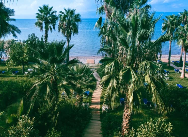 Hotel jest otoczony bujnym ogrodem i sąsiaduje z piękną plażą