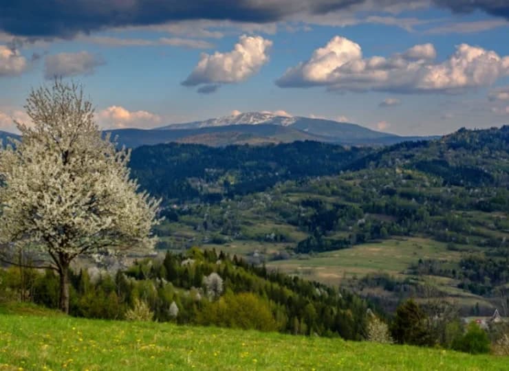 Malownicza okolica oferuje piękne widoki, nawet na Babią Górę