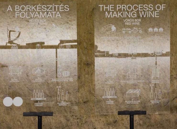 Po Muzeum Wina oprowadza przewodnik