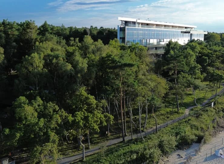 Wystarczy przejść pomiędzy sosnami, by wyjść na nadbałtycką plażę