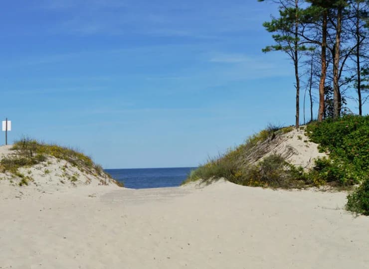 Hotel sąsiaduje z wydmą prowadzącą na plażę