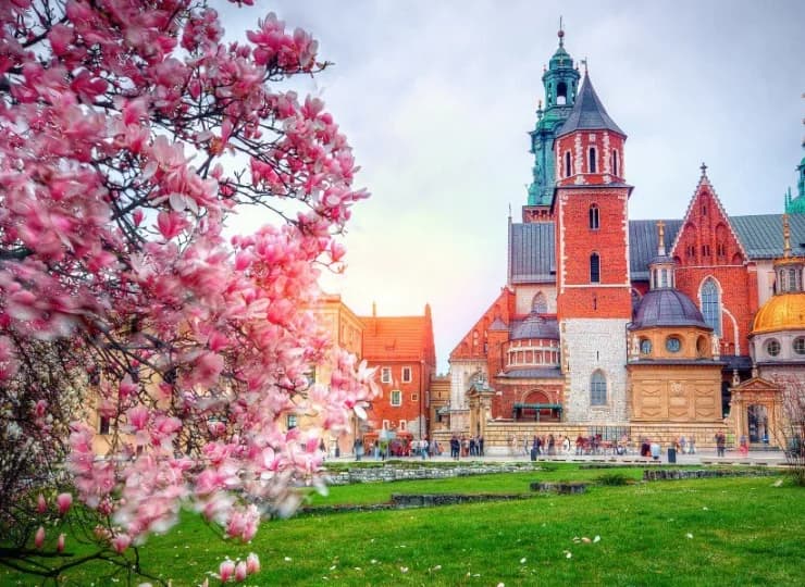 Ciesz się wygodnym dojazdem do centrum Krakowa