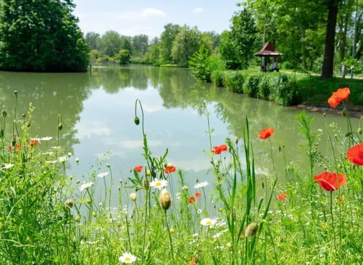 Inna atrakcja Sárvár to arboretum