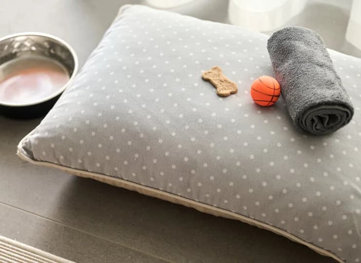 Aminess Younique Vollo Residence to apartamenty przyjazne zwierzętom