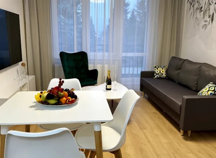 W pokoju dziennym apartamentu 2-pokojowego mieści się rozkładana sofa