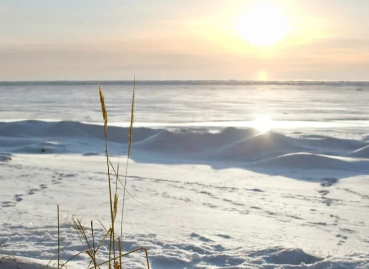 Nadmorskie plaże zimą zachęcają do spacerów