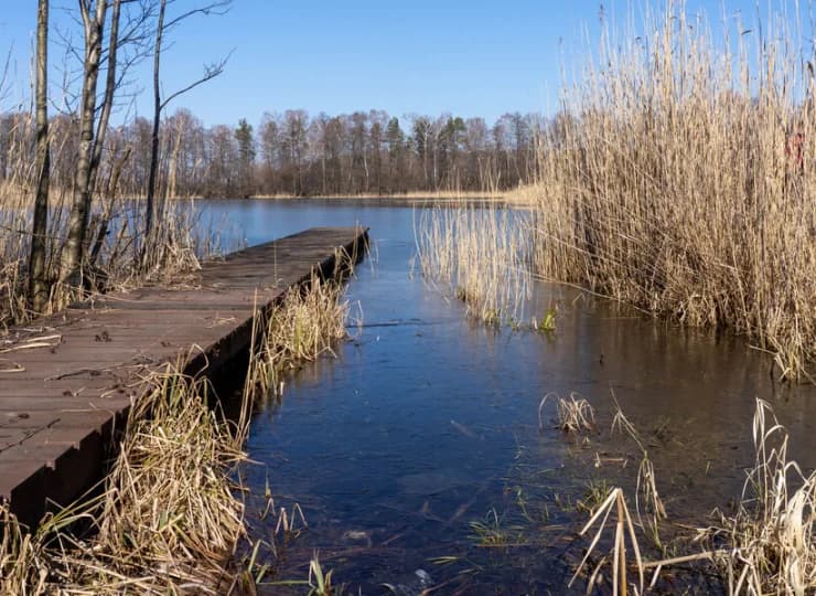 Spędź Święta w domku nad jeziorem
