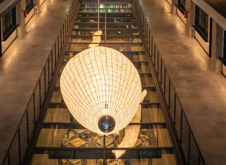 Świetlna ławica to okazały zespół lamp stworzonych z muszli
