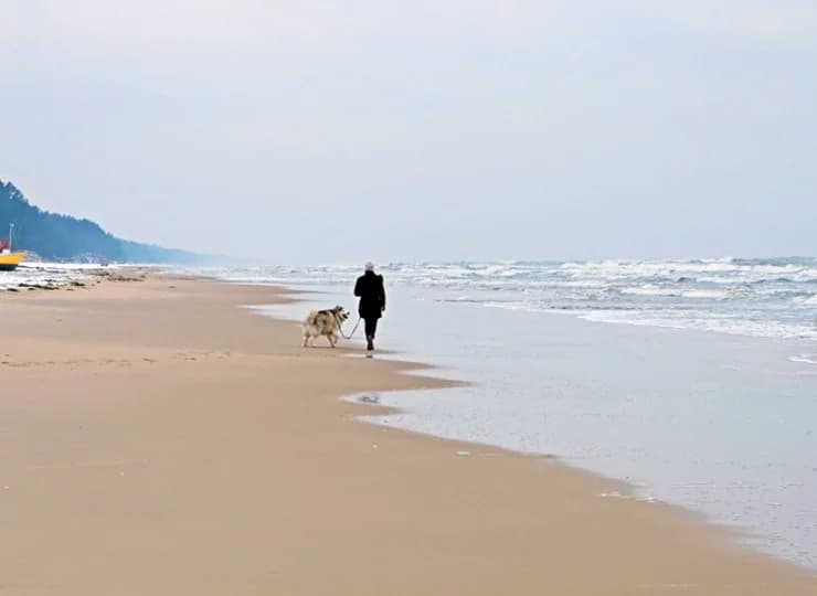Spacery wzdłuż plaży są przyjemne nawet w chłodnych miesiącach