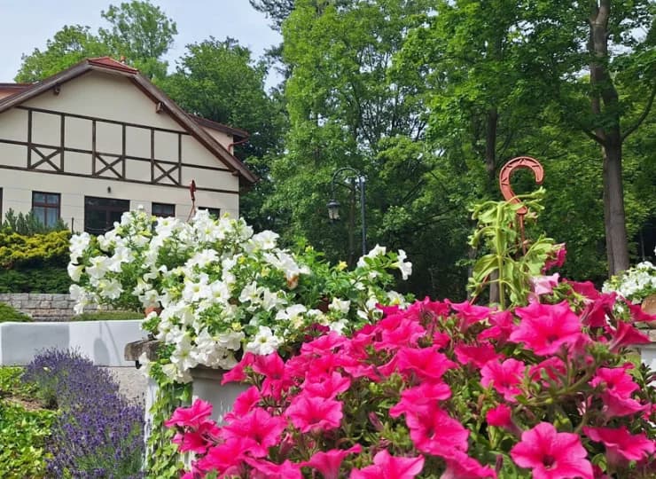 W ciepłych miesiącach w ogrodzie nie brakuje kwiatów