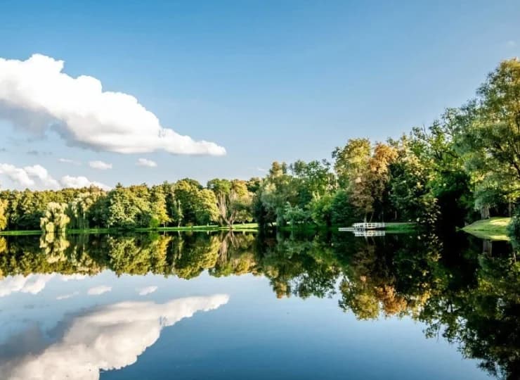 Niedaleko obiektu znajduje się m. in. piękny Pałac w Radziejowicach