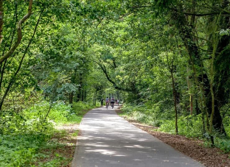 Okolica jest idealna na wycieczki rowerowe