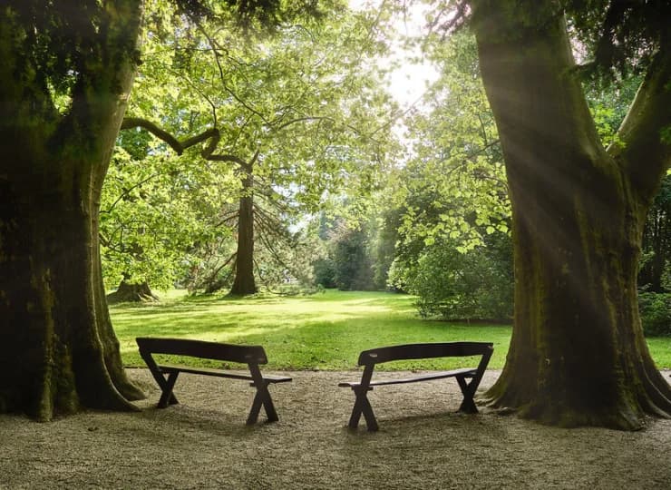 Hotel Bassiana sąsiaduje bezpośrednio z arboretum