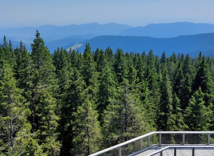 Panorama gór Pohorje ze ścieżki w koronach drzew