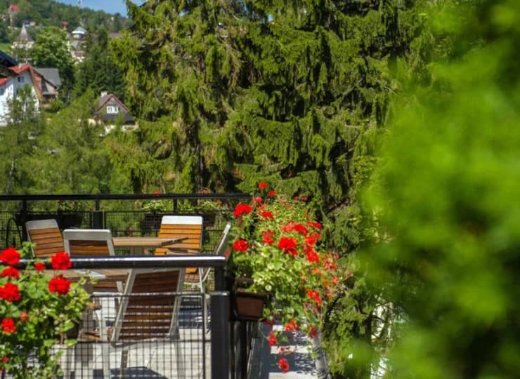 Hotel posiada przyjemny taras skąpany w zieleni