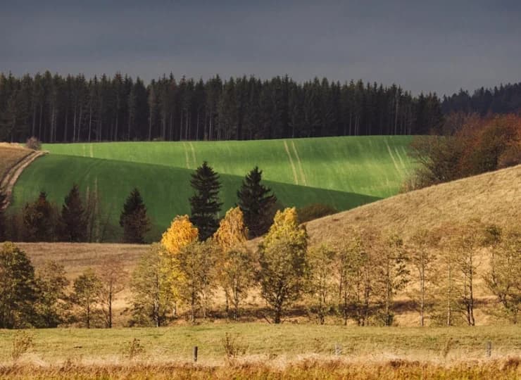 Zielona okolica sprzyja wypoczynkowi i relaksowi