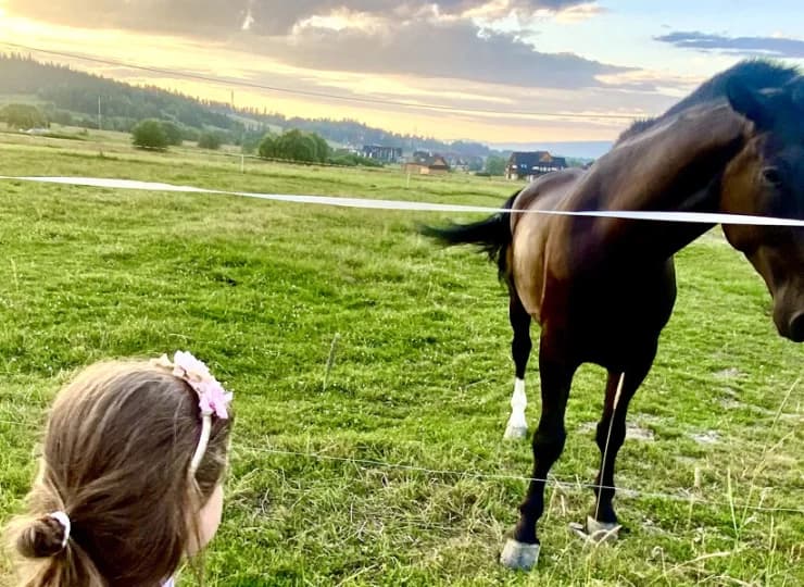 Okolica zachwyca malowniczymi krajobrazami