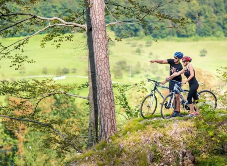 Warto wybrać się na wycieczkę rowerową po okolicy