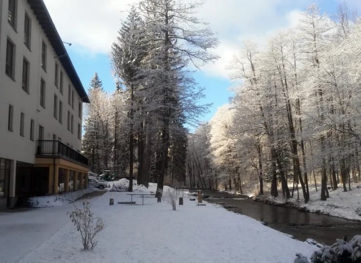 Hotel mieści się wśród pięknych drzew i nieopodal leśnych tras spacerowych