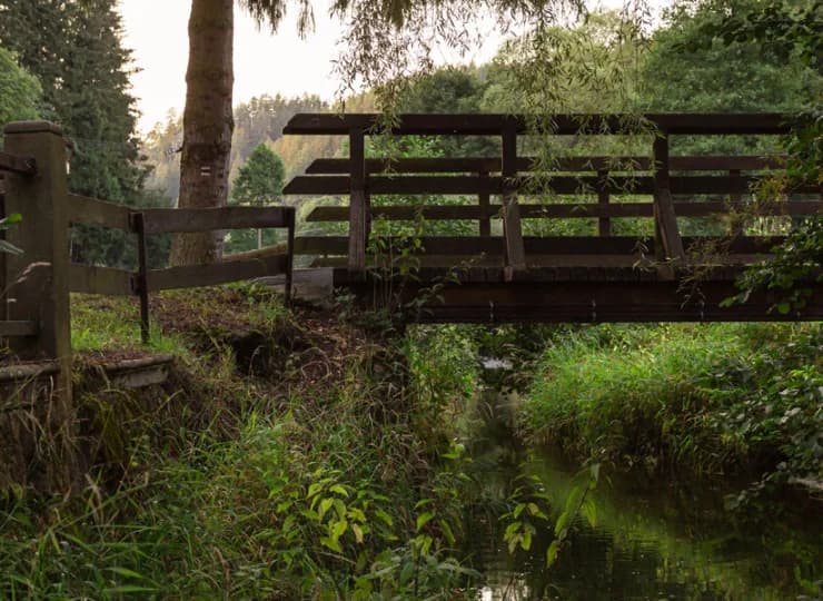 Hotel otacza natura, obok niego znajduje się jedno z wejść do rezerwatu