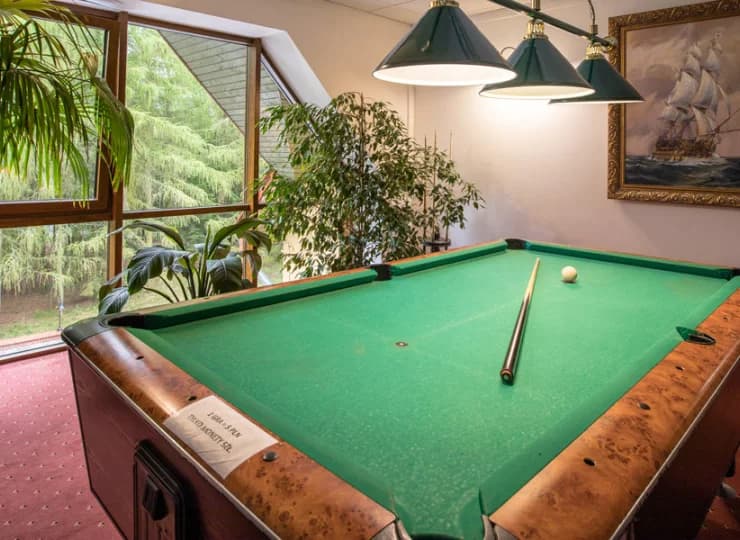 Dorośli mogą oddać się grze w billard
