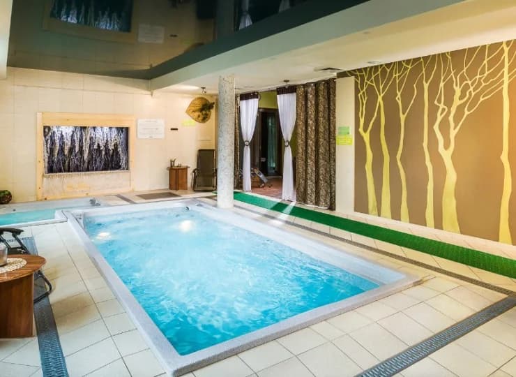W strefie wellness znajduje się basen ze sztucznym nurtem