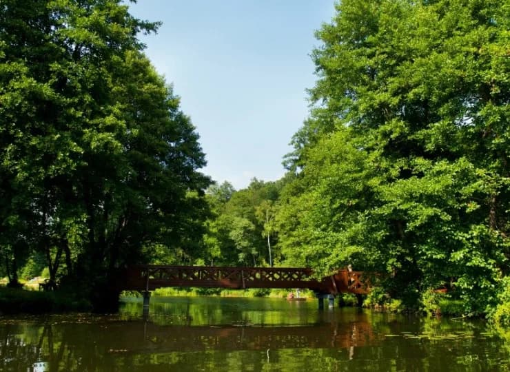 To prawdziwy raj dla wędkarzy - jezioro jest zarybione m.in. szczupakiem