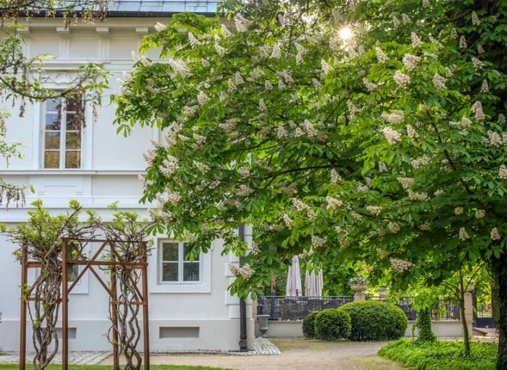 Hotel jest przyjazny rodzinie, można tutaj przyjechać też z psem