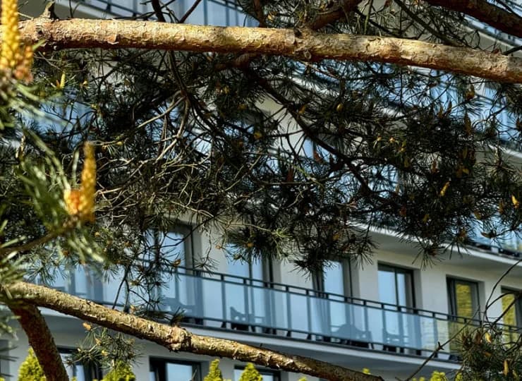Resort jest położony w zielonej okolicy
