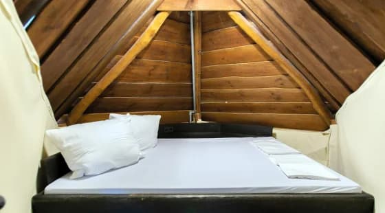 Namiot 2-os premium w hali TI