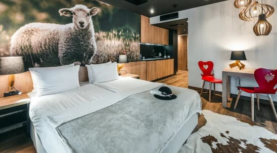 Apart. Junior z aneksem -Residence
